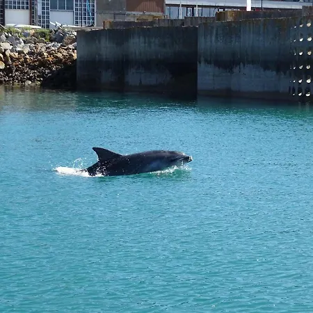 Le Dauphin - 3 - 8 Personnes - Proximite *