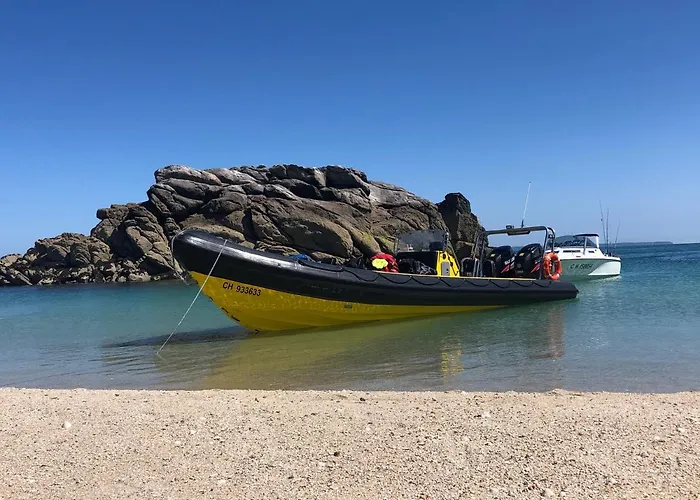 Le Dauphin - 3 - 8 Personnes - Proximite Apartment